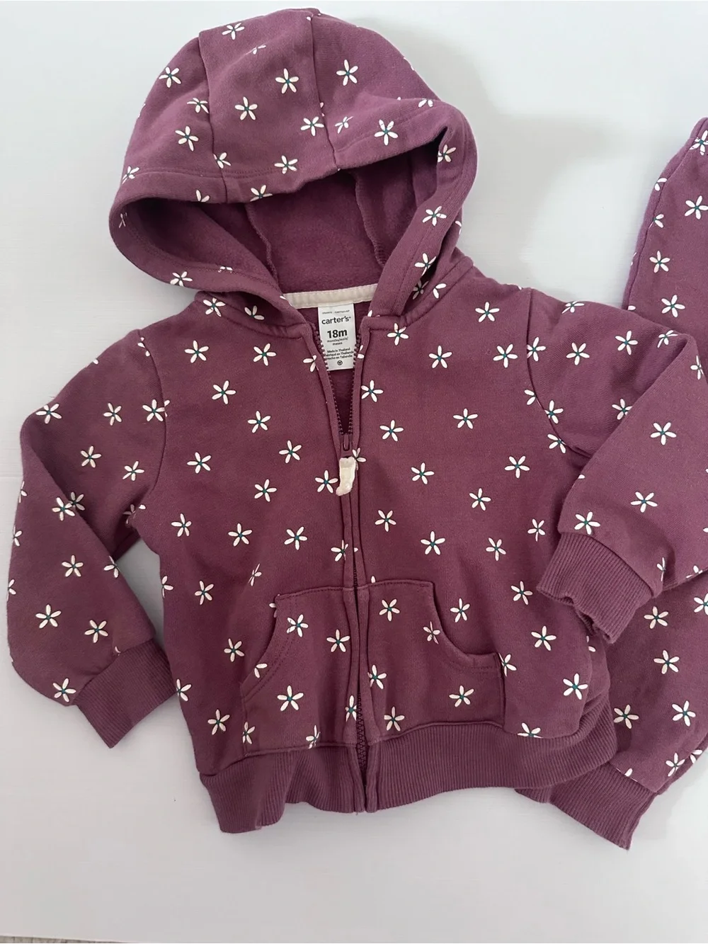 Carter's Plum Floral Zip Hoodie & Joggers Set Size 18 Months